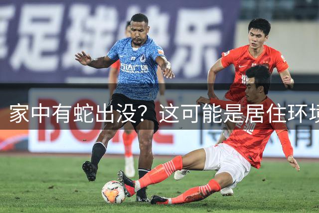 家中有蛇出没？这可能是居住环境发出的警示信号